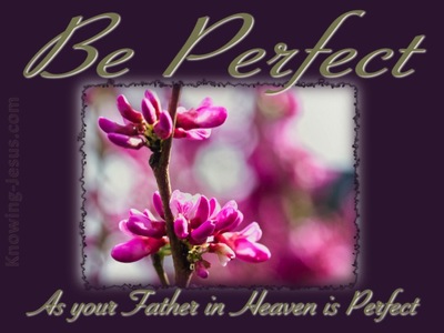 Matthew 5:48 Be Perfect (purple)